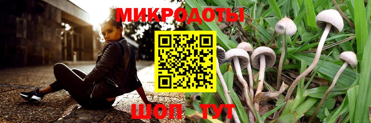Псилоцибиновые грибы Cubensis  Вход с VPN  Нефтеюганск 