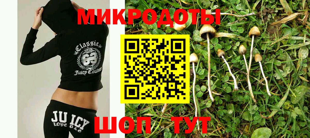 Псилоцибиновые грибы мицелий Нефтеюганск